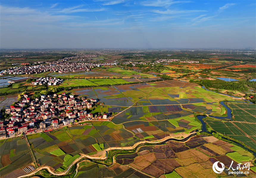 豐城市隍城鎮青山村一帶，灌溉打漿后的農田與蜿蜒灌渠、鄉村民宅、田間小路交織相襯，美不勝收。人民網 朱海鵬攝