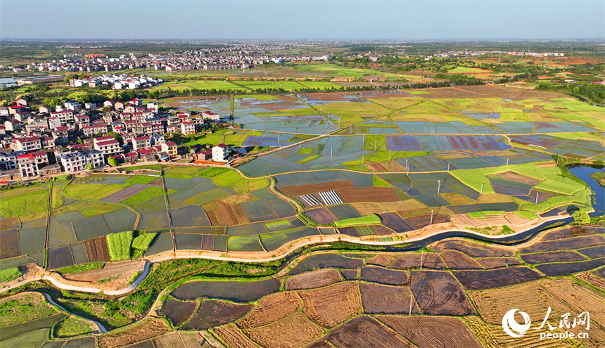 豐城市隍城鎮青山村一帶，灌溉打漿后的農田與蜿蜒灌渠、鄉村民宅、田間小路交織相襯，美不勝收。人民網 朱海鵬攝