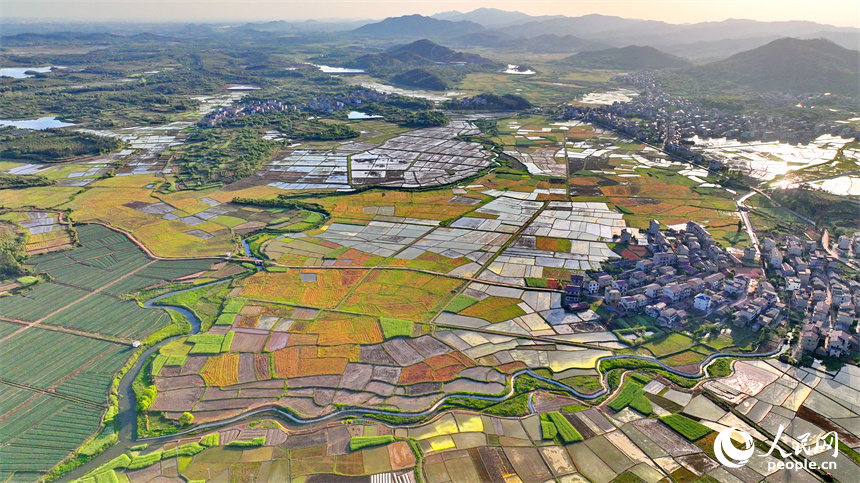 豐城市隍城鎮青山村一帶，灌溉打漿后的農田與蜿蜒灌渠、鄉村民宅、田間小路交織相襯，美不勝收。人民網 朱海鵬攝