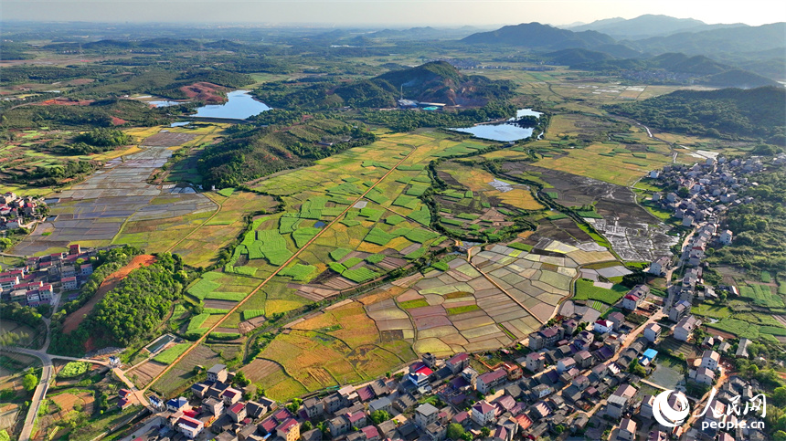 豐城市隍城鎮青山村一帶，灌溉打漿后的農田與蜿蜒灌渠、鄉村民宅、田間小路交織相襯，美不勝收。人民網 朱海鵬攝
