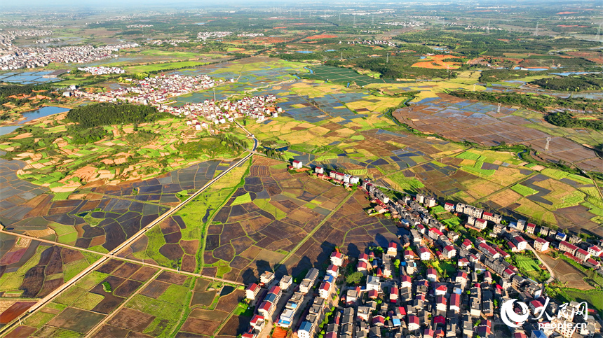 豐城市隍城鎮青山村一帶，灌溉打漿后的農田與蜿蜒灌渠、鄉村民宅、田間小路交織相襯，美不勝收。人民網 朱海鵬攝
