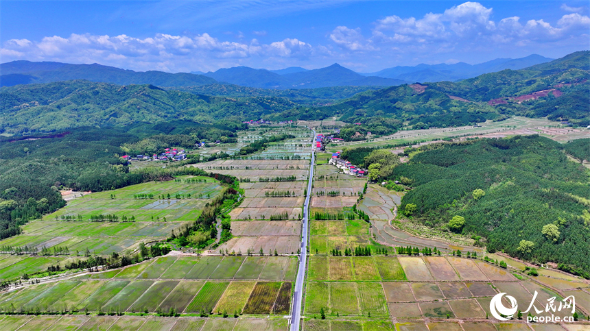 宜春市宜豐縣同安鄉明水村，連片的高標準農田與山巒、村莊、公路相映成景。人民網 朱海鵬攝