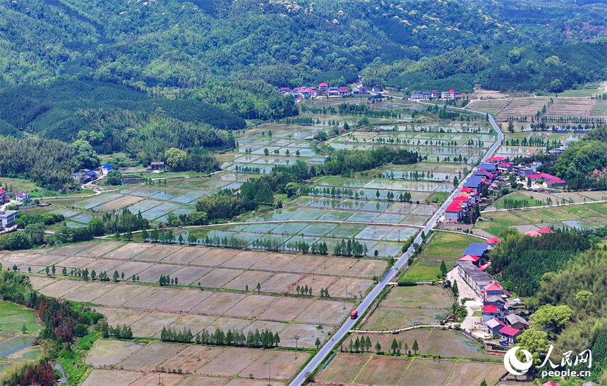 宜春市宜豐縣同安鄉明水村，連片的高標準農田與山巒、村莊、公路相映成景。人民網 朱海鵬攝