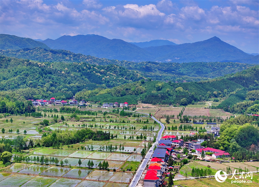 宜春市宜豐縣同安鄉明水村，連片的高標準農田與山巒、村莊、公路相映成景。人民網 朱海鵬攝