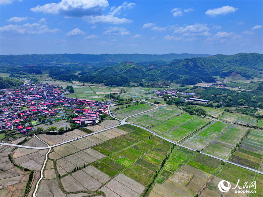 宜春市宜豐縣同安鄉明水村，連片的高標準農田與山巒、村莊、公路相映成景。人民網 朱海鵬攝
