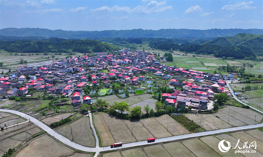 宜春市宜豐縣同安鄉明水村，連片的高標準農田與山巒、村莊、公路相映成景。人民網 朱海鵬攝