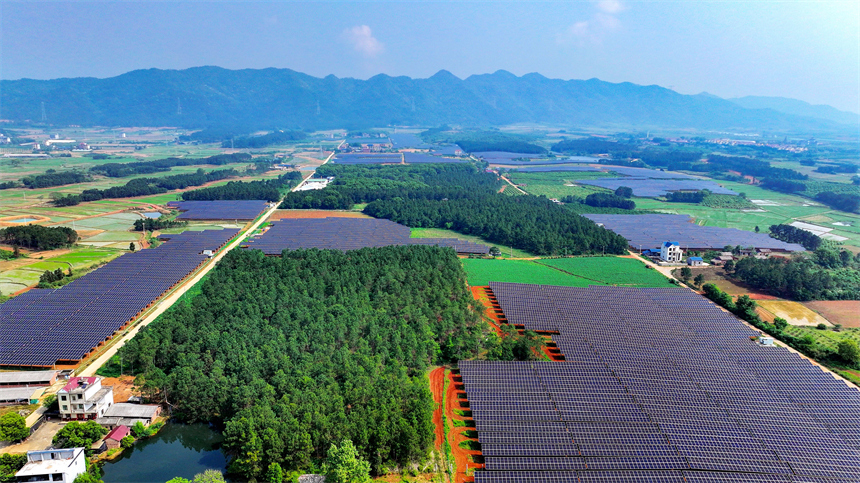 一排排光伏板在太陽的照耀下熠熠生輝。廖敏攝