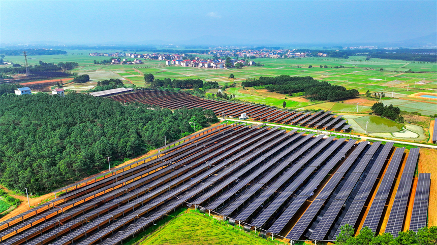 一排排光伏板在太陽的照耀下熠熠生輝。廖敏攝