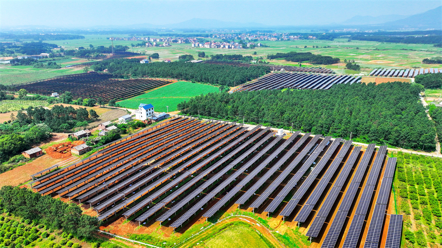 一排排光伏板在太陽的照耀下熠熠生輝。廖敏攝