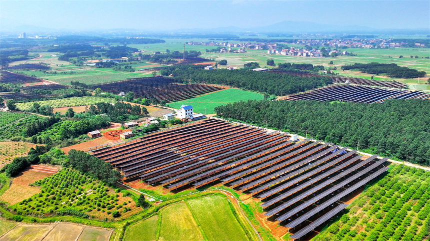 一排排光伏板在太陽的照耀下熠熠生輝。廖敏攝