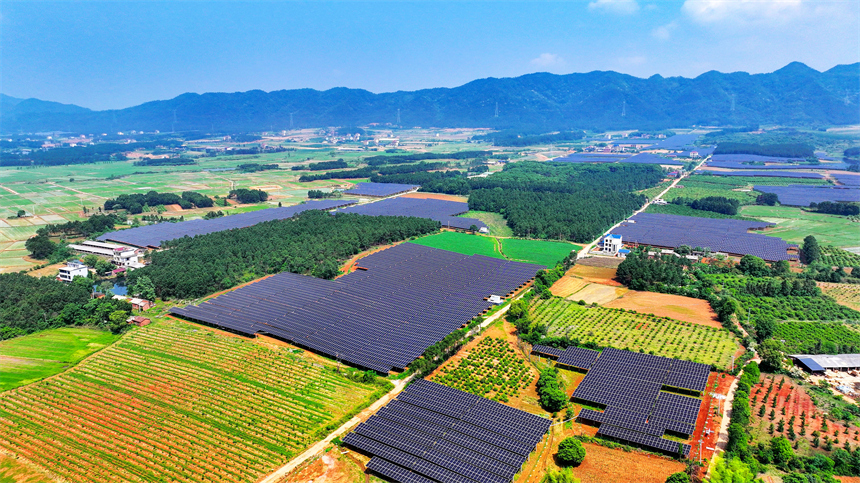 一排排光伏板在太陽的照耀下熠熠生輝。廖敏攝