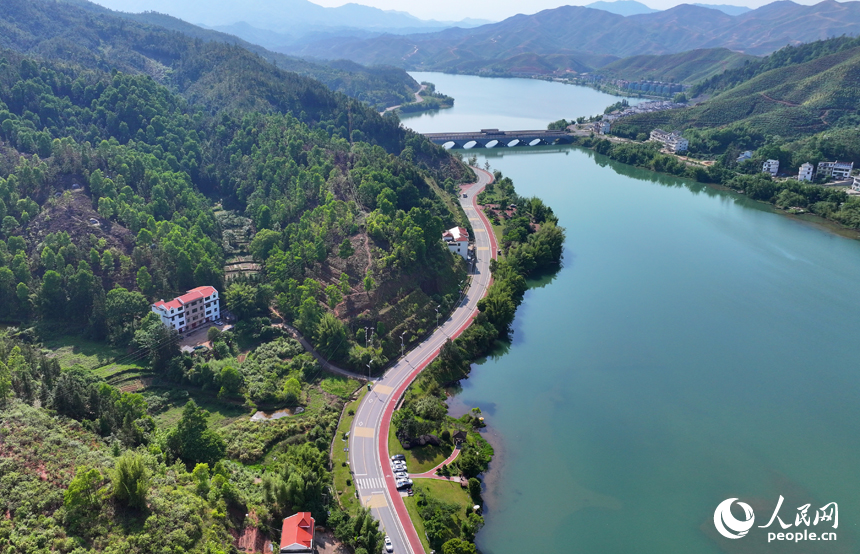 贛州市上猶縣東山鎮，車輛在環湖公路行駛，沿線水清岸綠景美春意濃。人民網 朱海鵬攝