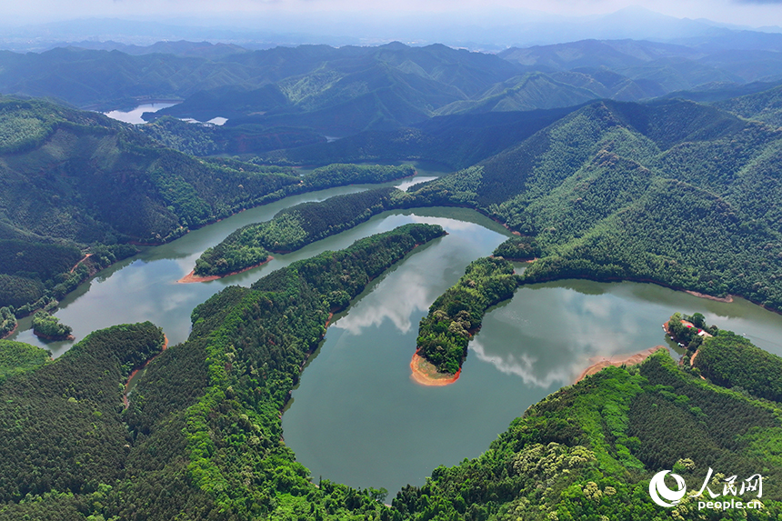 贛州市大余縣油羅口水庫周邊群山環抱，林木蔥郁。人民網 朱海鵬攝