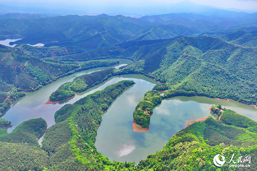 贛州市大余縣油羅口水庫周邊群山環抱，林木蔥郁。人民網 朱海鵬攝