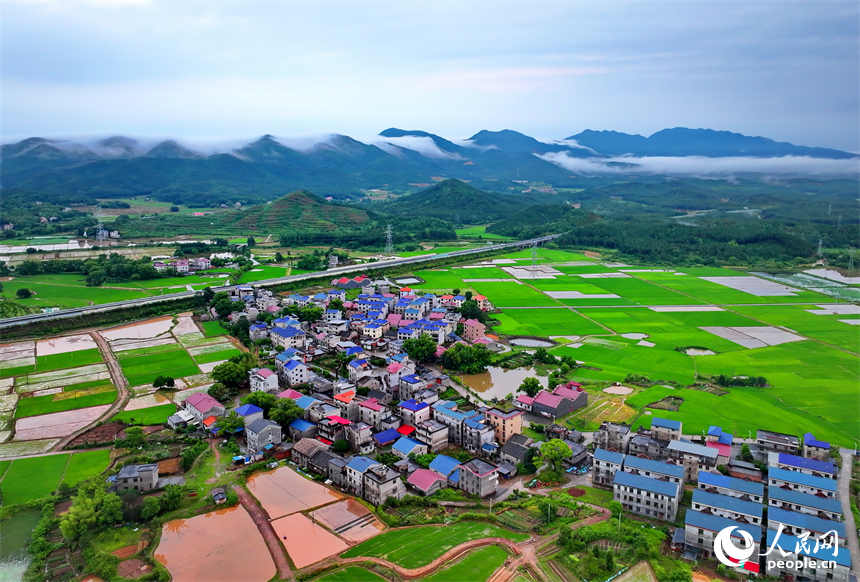 吉安市吉水縣文峰鎮葛山村，山巒起伏、水潤田疇、云霧繚繞，構成一幅初夏美麗鄉村田園圖景。人民網 朱海鵬攝