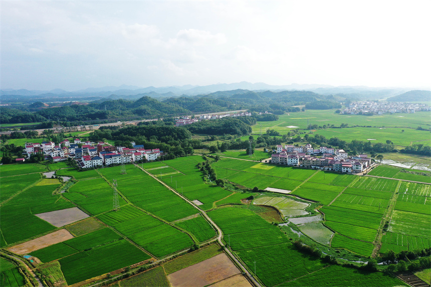 沃野綠意盎然，美不勝收。