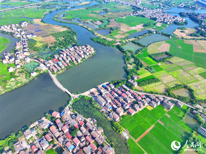南昌市南昌縣富山鄉灘上村，田園碧水環繞、農房錯落有致，夏日鄉村美景怡人。人民網 朱海鵬攝