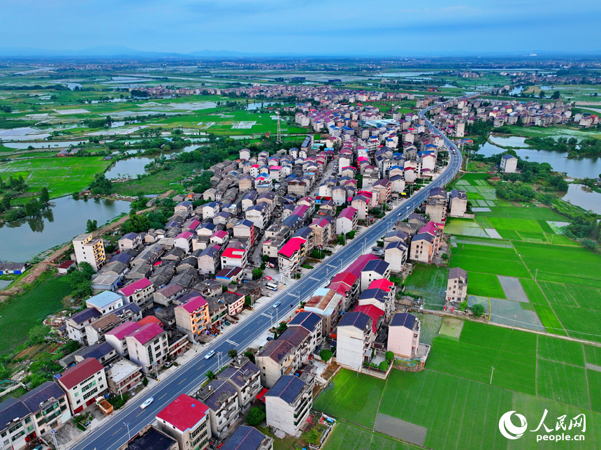 豐城市劍南街道荷塘村，車輛往來疾馳，鄉村公路與周邊連片的農田、房屋、養殖基地相映成景。人民網 朱海鵬攝