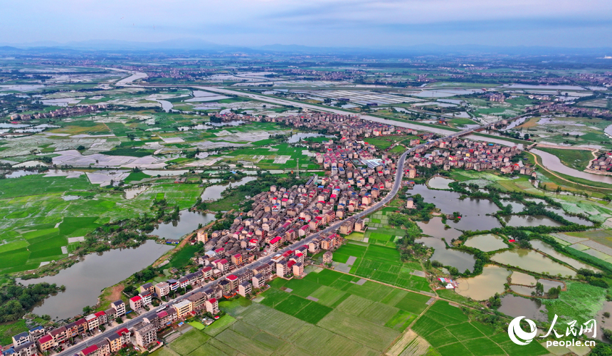 豐城市劍南街道荷塘村，車輛往來疾馳，鄉村公路與周邊連片的農田、房屋、養殖基地相映成景。人民網 朱海鵬攝