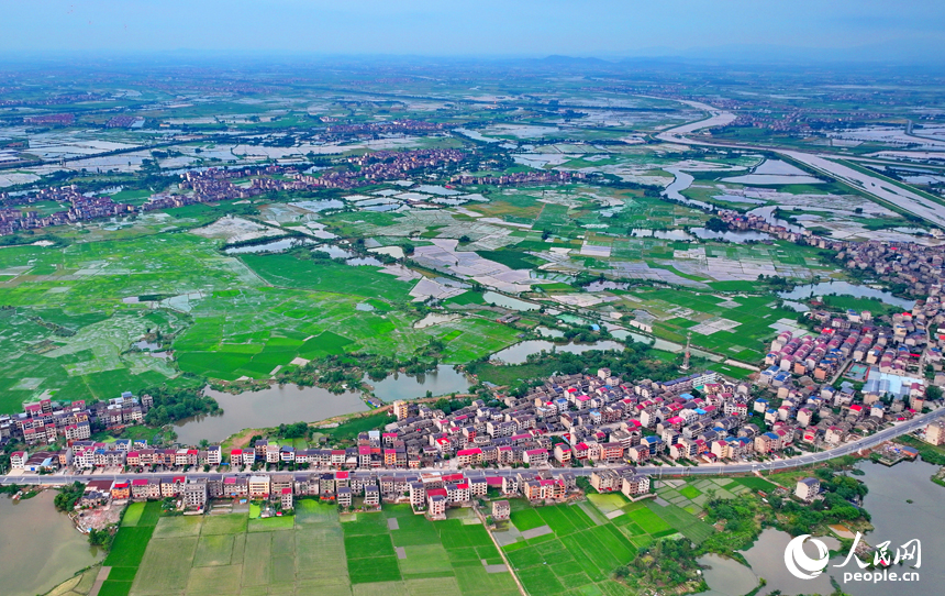 豐城市劍南街道荷塘村，車輛往來疾馳，鄉村公路與周邊連片的農田、房屋、養殖基地相映成景。人民網 朱海鵬攝