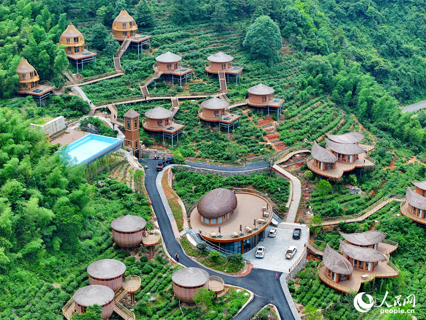 贛州市上猶縣梅水鄉園村村的一處露營基地，一棟棟民宿小木屋與青山、竹林、茶園相映襯。人民網 朱海鵬攝