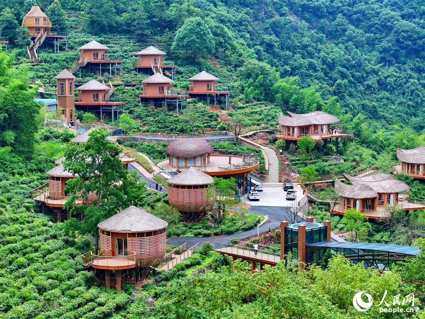 贛州市上猶縣梅水鄉園村村的一處露營基地，一棟棟民宿小木屋與青山、竹林、茶園相映襯。人民網 朱海鵬攝