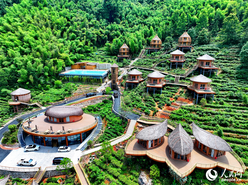 贛州市上猶縣梅水鄉園村村的一處露營基地，一棟棟民宿小木屋與青山、竹林、茶園相映襯。人民網 朱海鵬攝