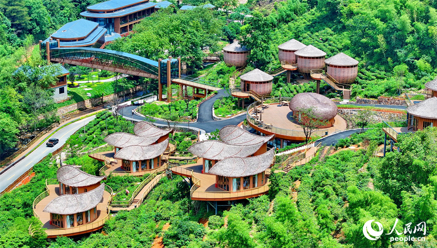 贛州市上猶縣梅水鄉園村村的一處露營基地，一棟棟民宿小木屋與青山、竹林、茶園相映襯。人民網 朱海鵬攝