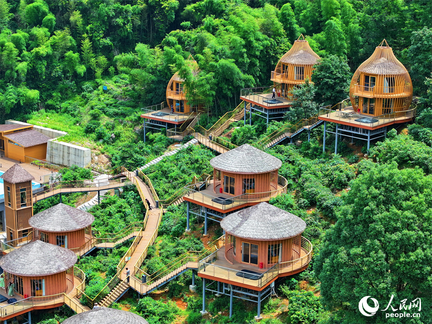 贛州市上猶縣梅水鄉園村村的一處露營基地，一棟棟民宿小木屋與青山、竹林、茶園相映襯。人民網 朱海鵬攝