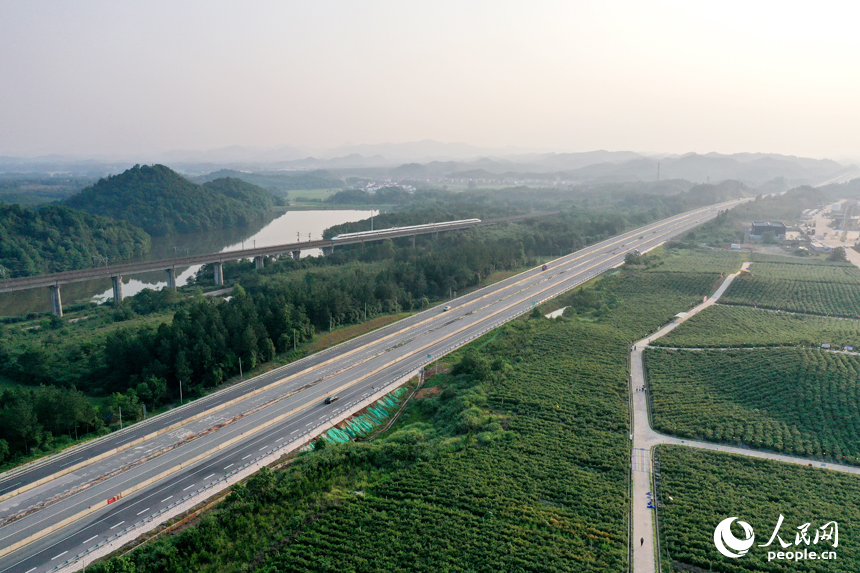 江西省撫州市東鄉區珀玕鄉東騰藍莓產業園1號基地郁郁蔥蔥，曾經的荒山成為人們體驗采摘樂趣的樂園。人民網記者 時雨攝