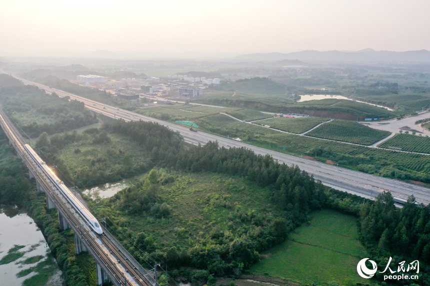 滬昆高速和滬昆高鐵從藍莓基地旁穿越，便捷的交通路網加速了藍莓“走出去”的步伐。人民網記者 時雨攝
