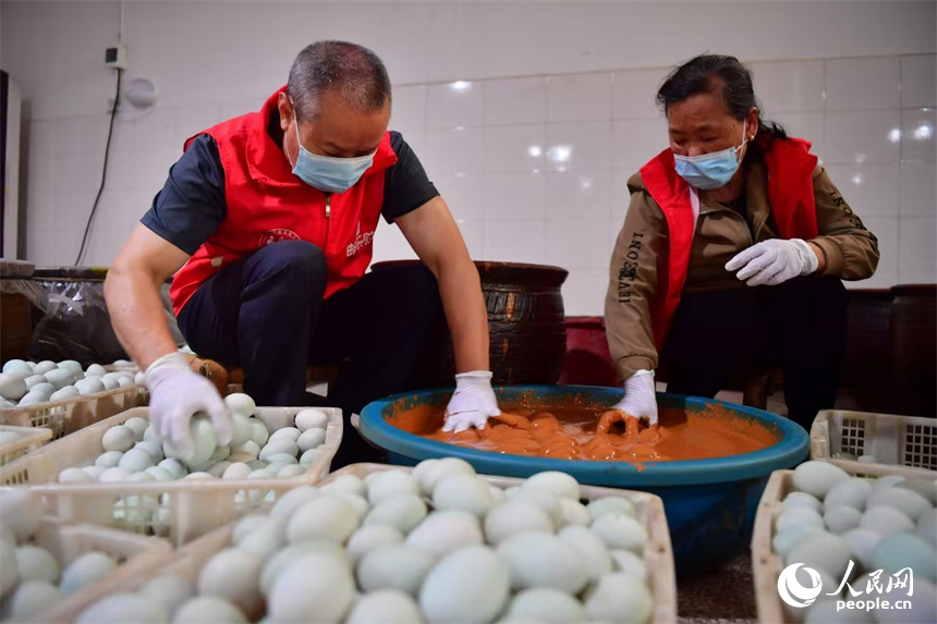 經過清洗、晾干后，村民將鴨蛋裹上黃泥進行腌制。人民網記者 時雨攝