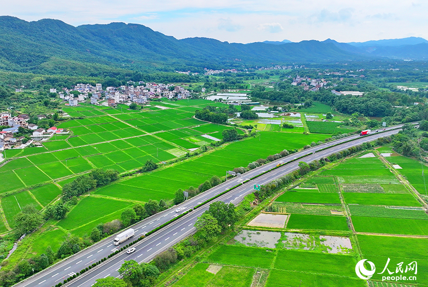贛州市南康區龍回鎮龍東村，車輛在大廣高速公路上往來馳騁，沿線鄉村田園夏日美景怡人。人民網 朱海鵬攝