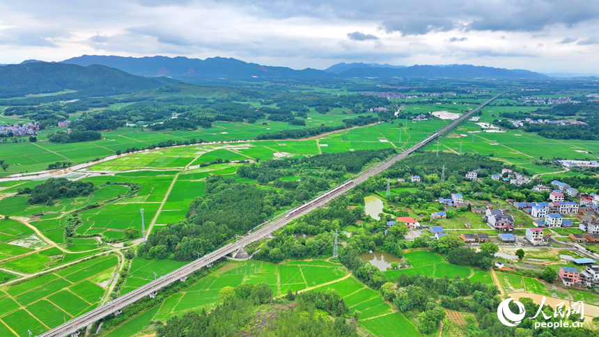 吉安市吉水縣醪橋鎮日崗村，昌贛高鐵列車穿行而過。人民網 朱海鵬攝
