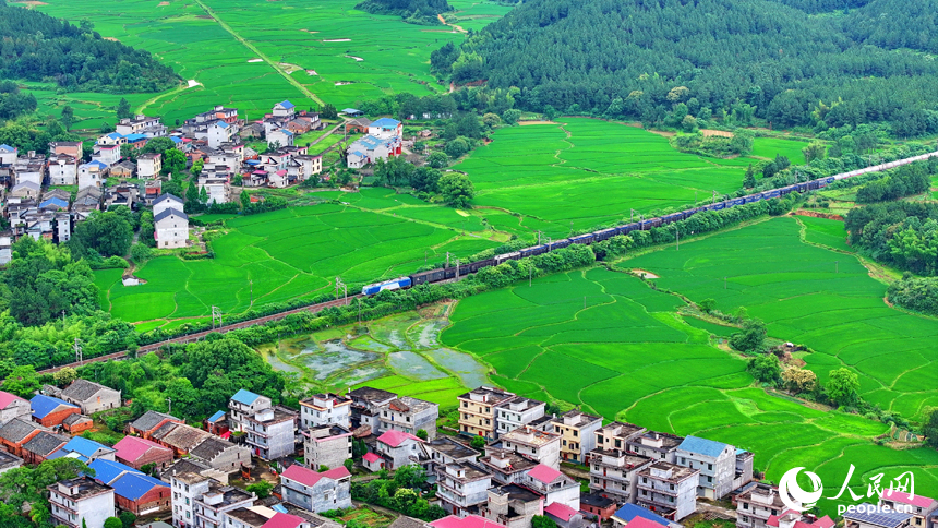 吉安市吉水縣醪橋鎮日崗村，京九鐵路貨運列車穿行而過。人民網 朱海鵬攝