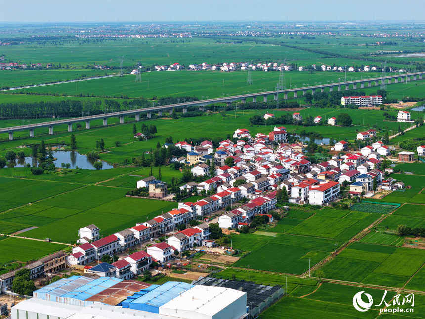 南昌縣涇口鄉，廣袤的田野與村落、公路、河流共同構成一幅美麗的鄉村畫卷。人民網記者 毛思遠攝