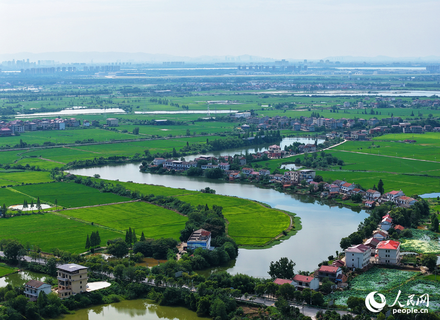 南昌縣涇口鄉，廣袤的田野與村落、公路、河流共同構成一幅美麗的鄉村畫卷。人民網記者 毛思遠攝