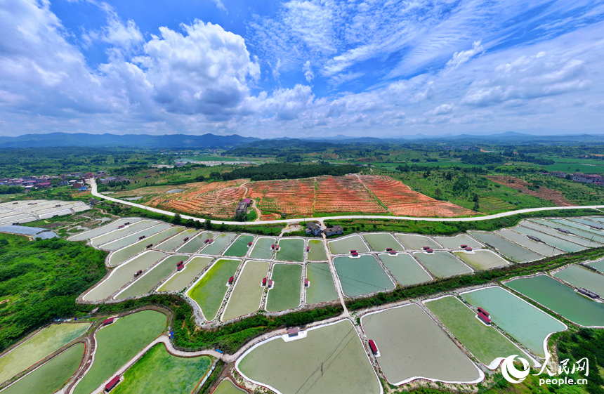 撫州市南豐縣萊溪鄉農光互補生態養殖基地，色彩斑斕的甲魚塘如同大地調色盤。人民網 朱海鵬攝