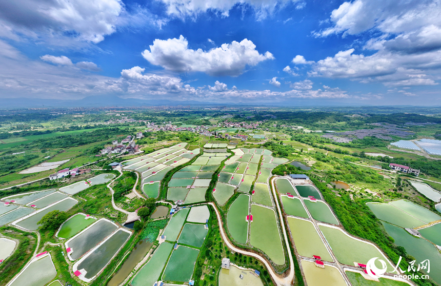 撫州市南豐縣萊溪鄉農光互補生態養殖基地，色彩斑斕的甲魚塘如同大地調色盤。人民網 朱海鵬攝