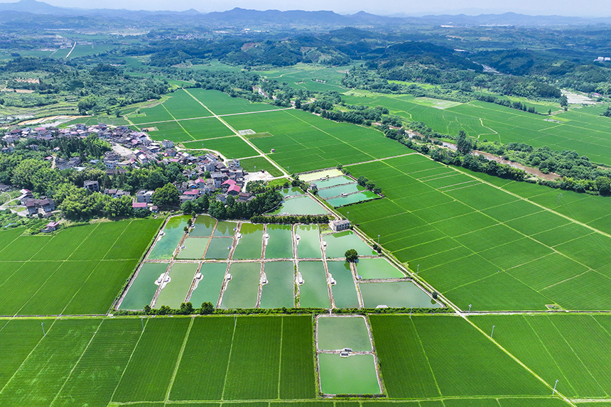 江西省撫州市南豐縣萊溪鄉黃滿村，翠綠的稻田與道路、山巒、民居相映成景。謝東攝