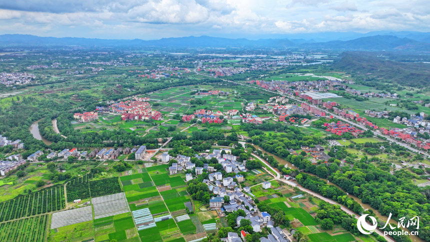 瑞金市葉坪鎮葉坪村，鱗次櫛比的房屋與郁郁蔥蔥的田園、山丘、樹木相映成景。人民網 朱海鵬攝