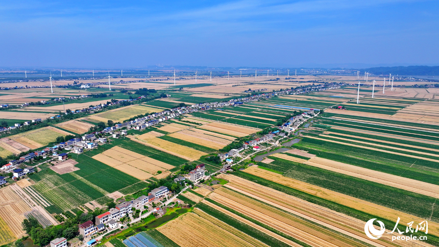九江市柴桑區江洲鎮風光旖旎，風力發電機迎風運轉，源源不斷地輸出清潔電能。人民網 朱海鵬攝