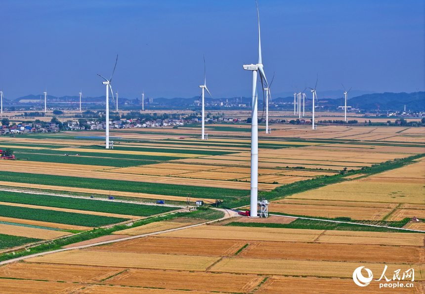 九江市柴桑區江洲鎮風光旖旎，風力發電機迎風運轉，源源不斷地輸出清潔電能。人民網 朱海鵬攝