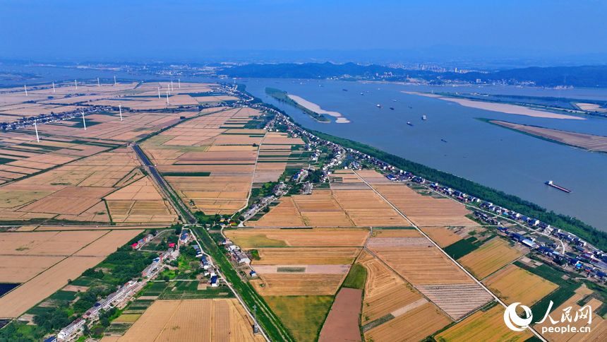 九江市柴桑區江洲鎮風光旖旎，風力發電機迎風運轉，源源不斷地輸出清潔電能。人民網 朱海鵬攝