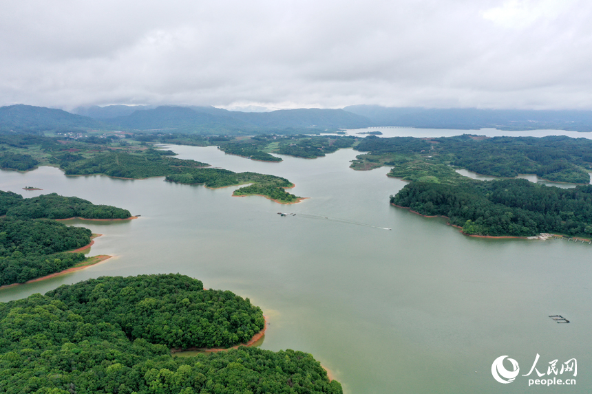 武寧縣廬山西海中形態各異的島嶼上郁郁蔥蔥，構成一幅美麗的生態畫卷。人民網記者 時雨攝