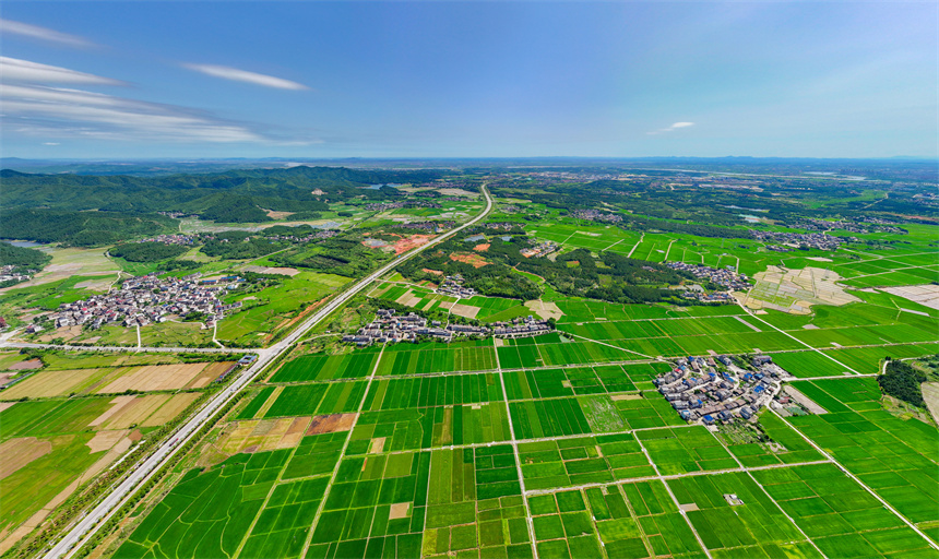 高標準農田里綠意盎然，與村莊、公路相映成景，勾勒出一幅生機勃勃的夏日田園畫卷。郭昊攝
