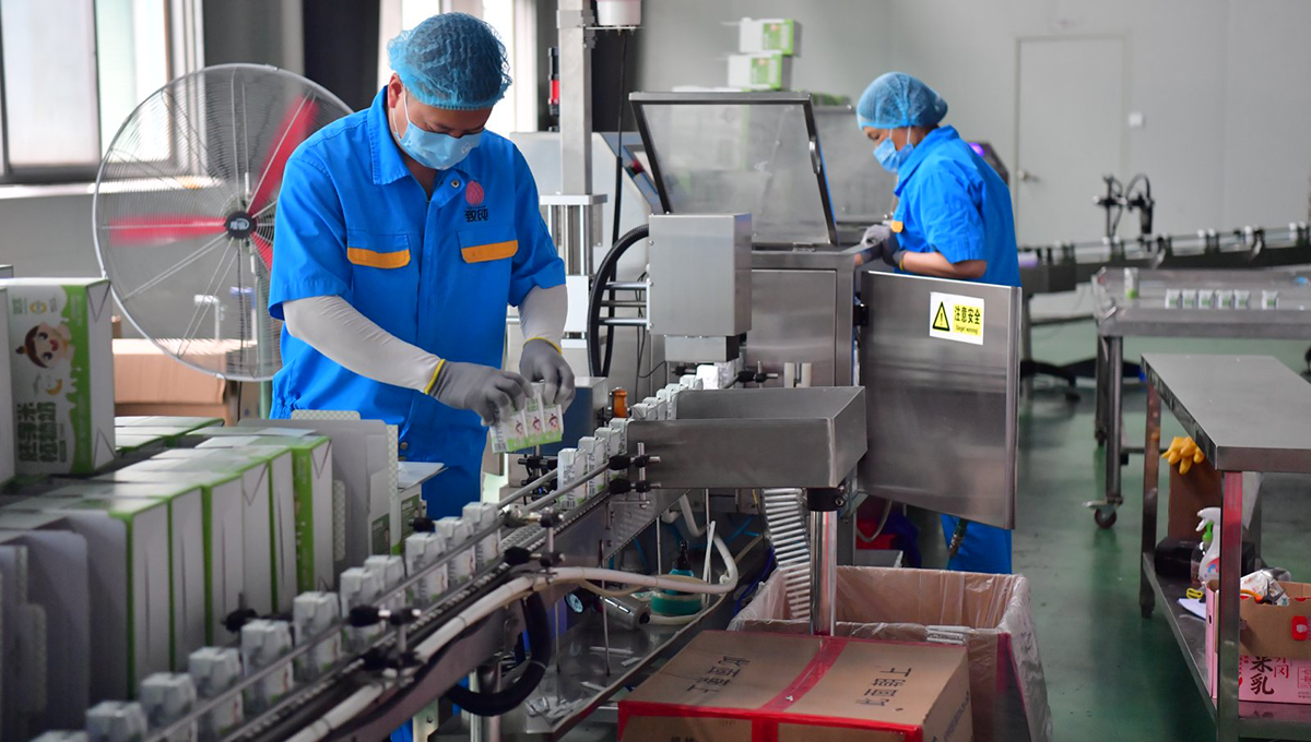 廣昌縣致純食品股份有限公司生產車間內，工人們正在對產品進行包裝。