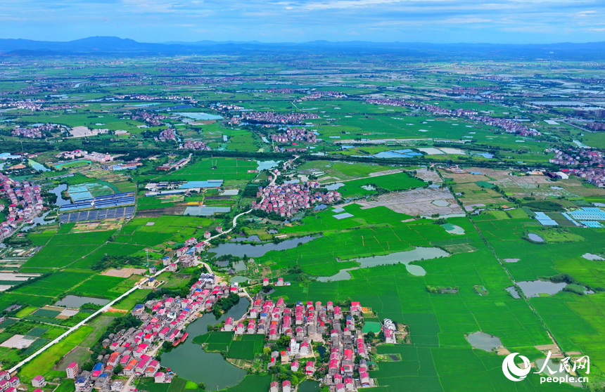 豐城市小港鎮北港村一帶，錯落分布農家房屋與田園、河塘相映成景，構成一幅水潤田疇的和美鄉村畫卷。人民網 朱海鵬攝