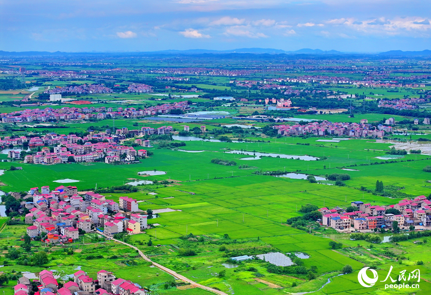 豐城市小港鎮北港村一帶，錯落分布農家房屋與田園、河塘相映成景，構成一幅水潤田疇的和美鄉村畫卷。人民網 朱海鵬攝