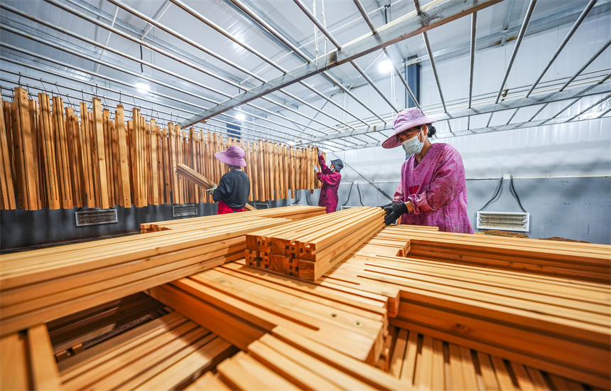 工人正在進行木材加工作業。謝東攝